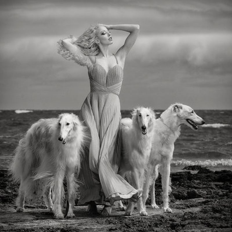 Lady with Hounds