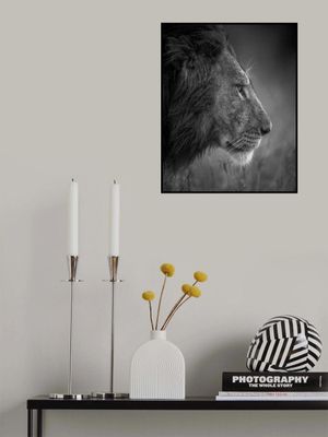 Thinking Under The Rain