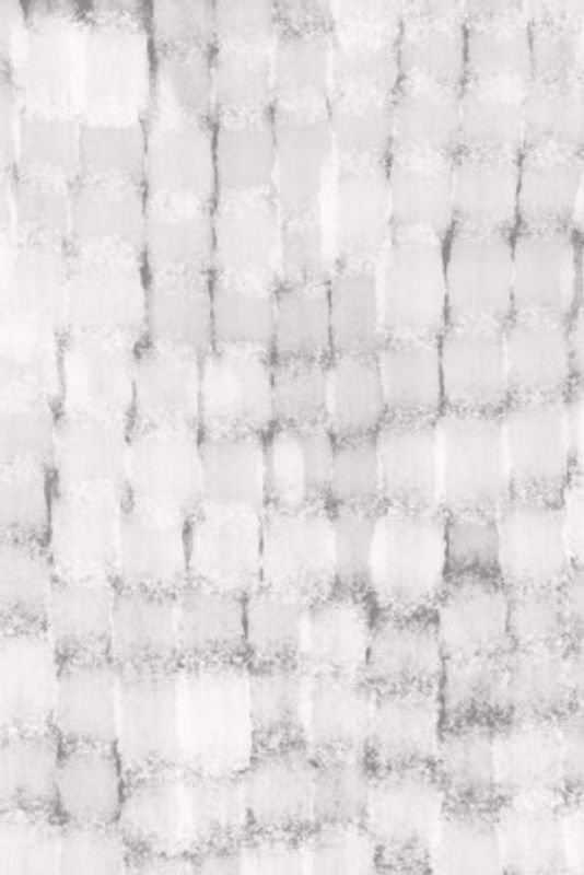 Black and White Bricks