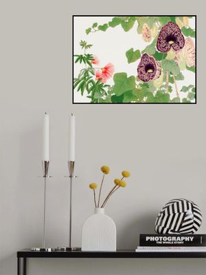 Albizia & Aristolochia Flower No.2