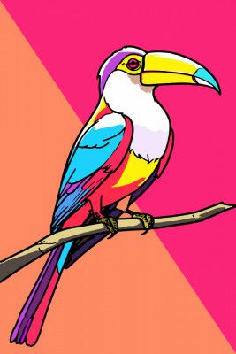 Toucan Tango 1
