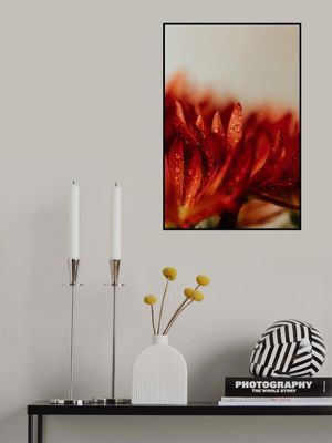 Vibrant Red-orange Flower