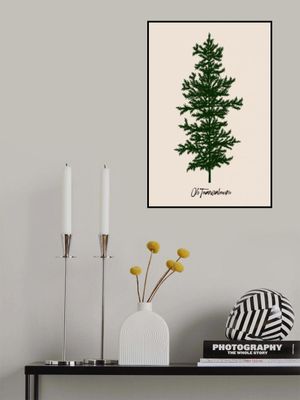 Oh Tannebaum (green)