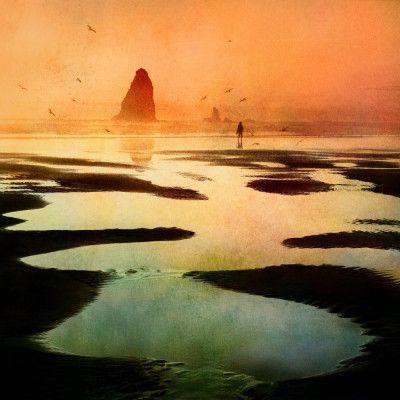 Not alone at the beach