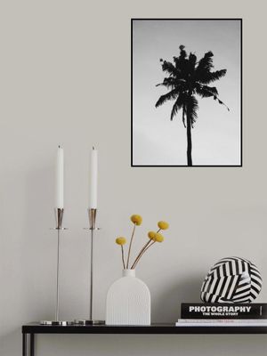 Lone Palm Silhouette