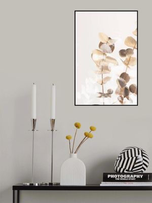 Eucalyptus Creative Gold 01