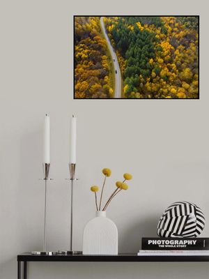 Bright moments of autumn