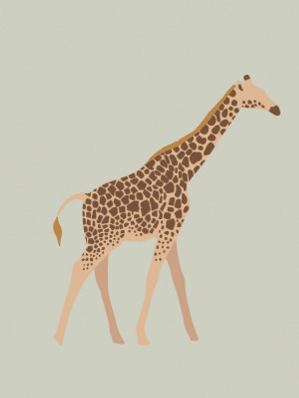Graceful Giraffe