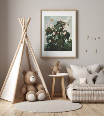 The Oblique–Leaved Begonia from The Temple of Flora (1807)