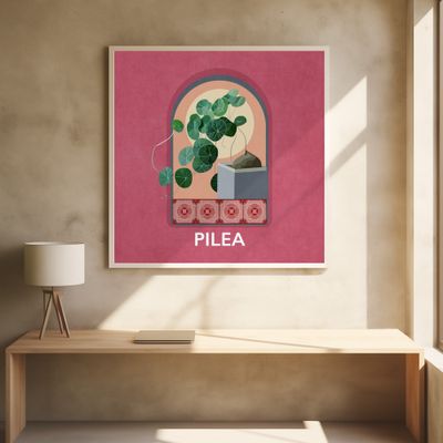 Green Sets Pilea