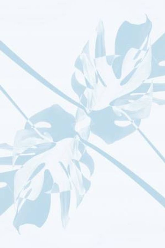 Monstera Kaleidoscope 06