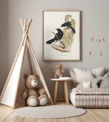 Keraudren's Crow Shrike