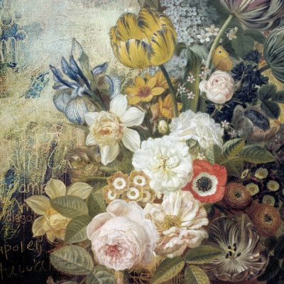 Still Life - the Urban Edition