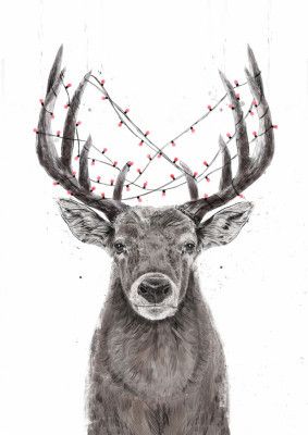 Xmas deer