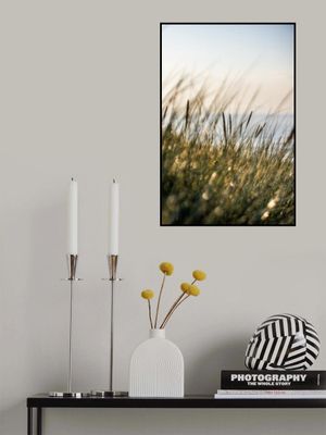 Field of Light