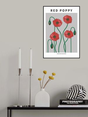 Red Poppy - National flower of Belgium