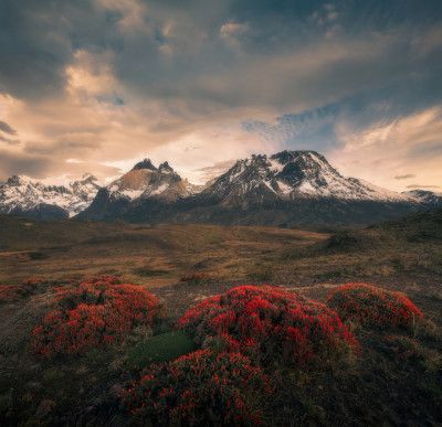 Spring in Cordillera del Paine