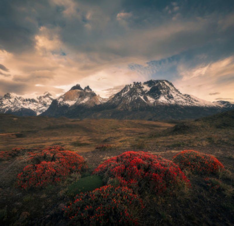 Spring in Cordillera del Paine