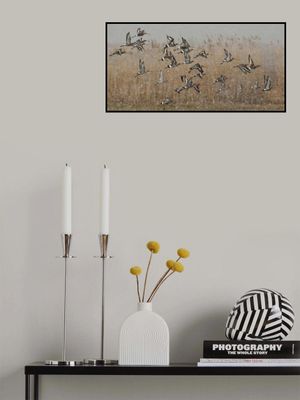 birds in a snowstorm