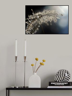 Reflection explotion