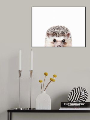 Peeking Hedgehog