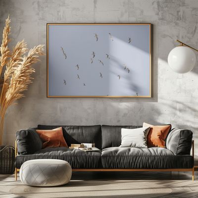 Seagulls In Flight