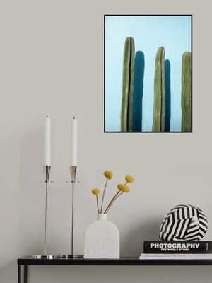 Cacti on Light Blue | Oaxaca Mexico