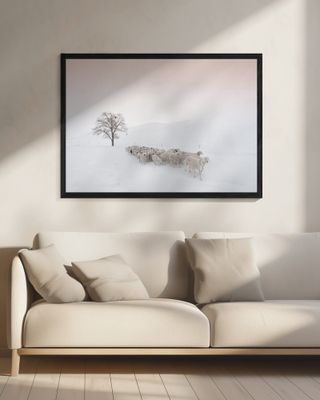 Flock looking for food