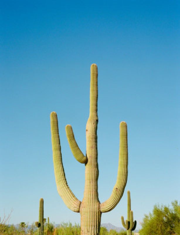 Tucson Arizona III on Film