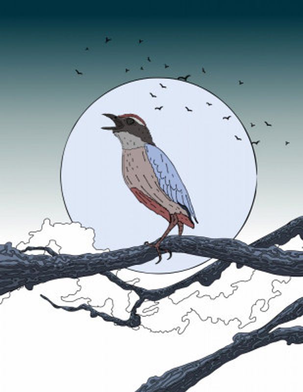 Bird on Branch at Moonlit Night