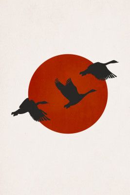 Coming Home for Christmas