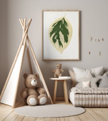 Hydrangea Japonica Variegata Leaf Illustration