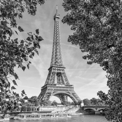 PARIS Eiffel Tower &amp; River Seine - Monochrome