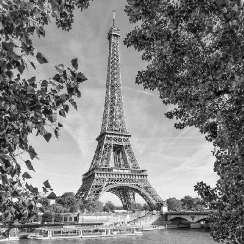 PARIS Eiffel Tower &amp; River Seine - Monochrome