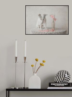 He loves me....he loves me not....