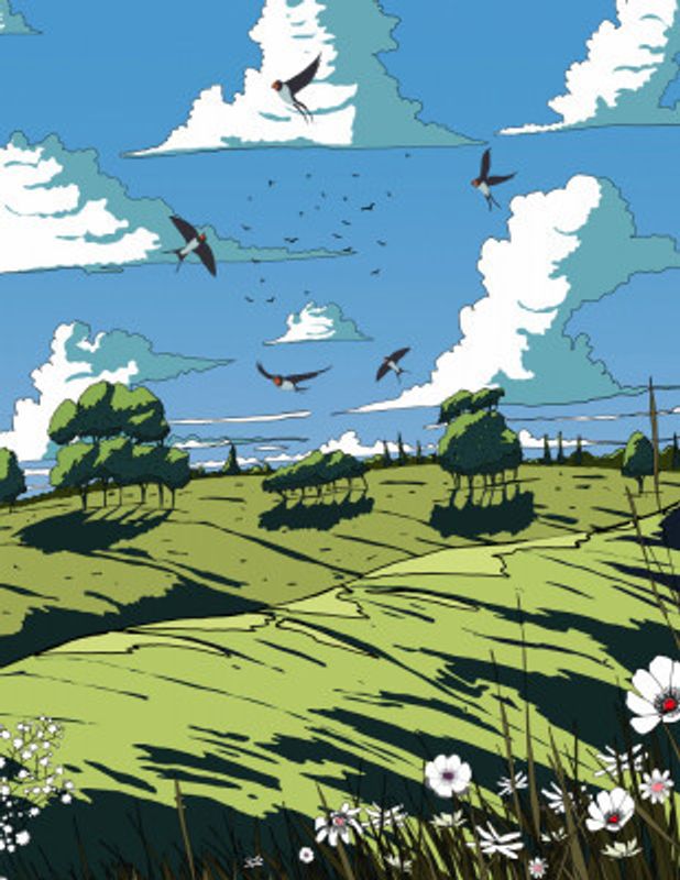 Landscape In The Summer