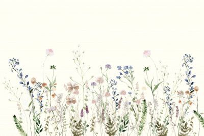 Wildflower Meadow Summer Creme
