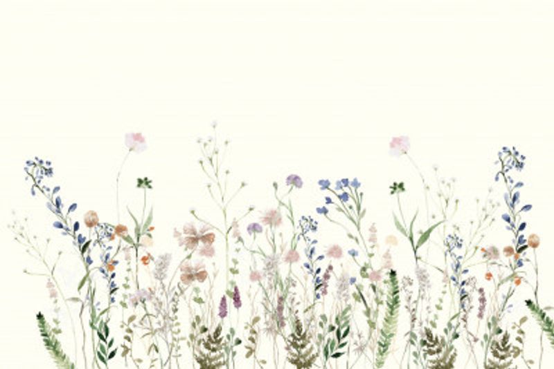 Wildflower Meadow Summer Creme
