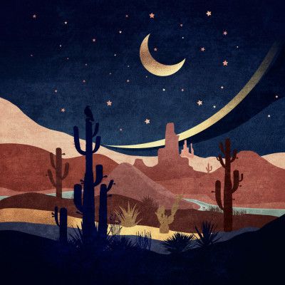 Desert Nightscape
