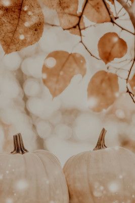 Cozypumpkinimpressionno04