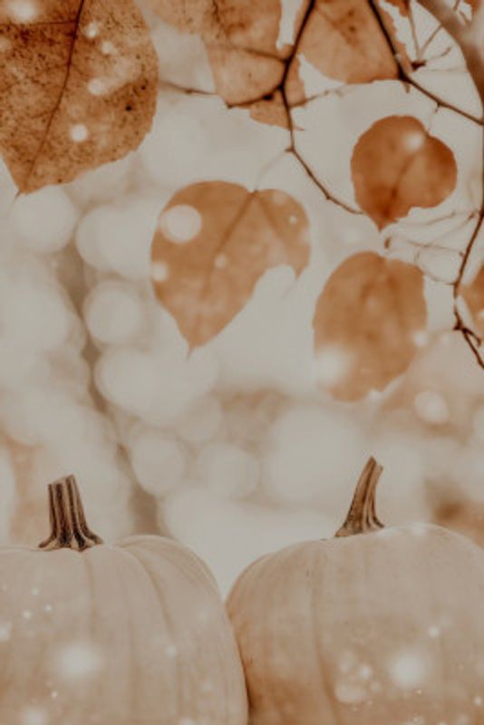 Cozypumpkinimpressionno04