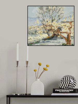 Pear Tree Flower Landscape