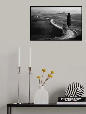 Morning in the field