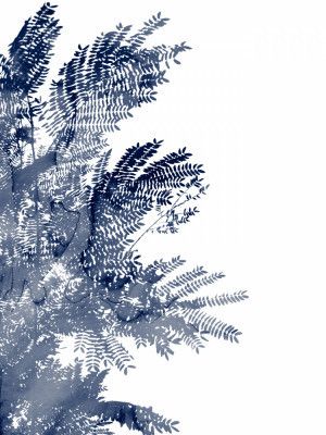 Deep Ecology 3 Bluegrey