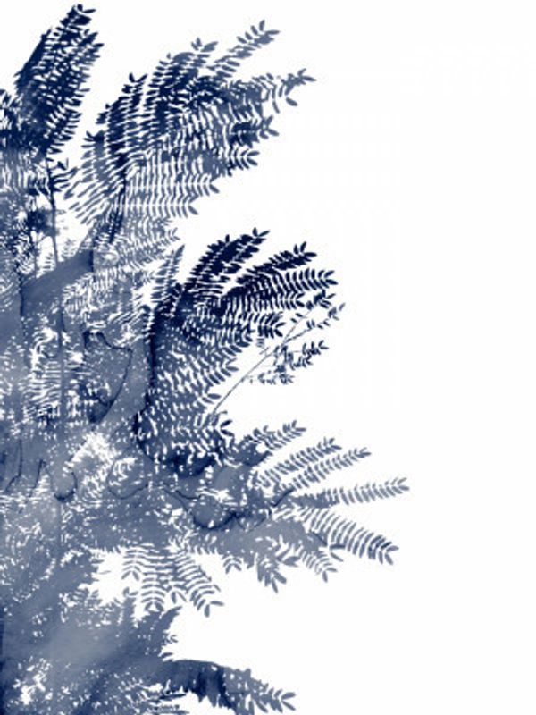 Deep Ecology 3 Bluegrey