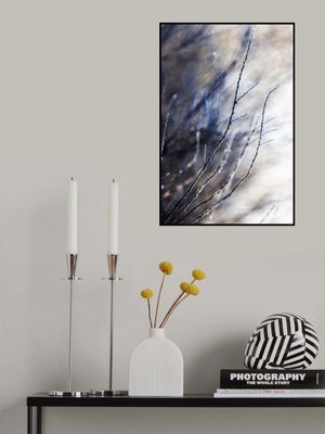 A Winter Morning 7 018a4832