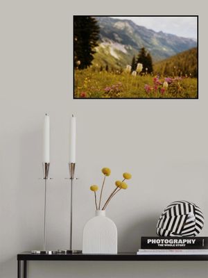 Washington Wildflowers