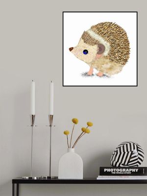 Hedgehog