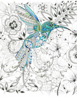 Hummingbird Delicate Tints