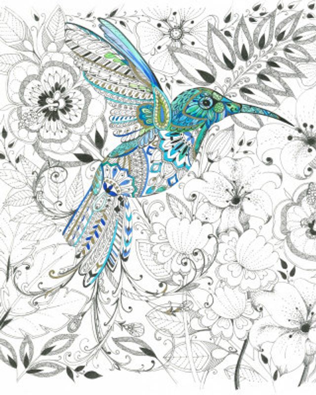 Hummingbird Delicate Tints